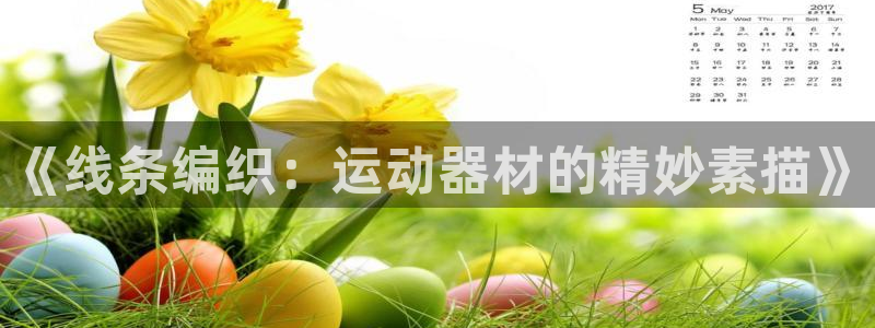 球速体育QsTY官方正版app娱乐:《线条编织:运动器材的精