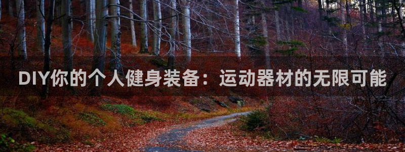 球速体育QsTY官网下载招商电话:DIY你的个人健身装备:运