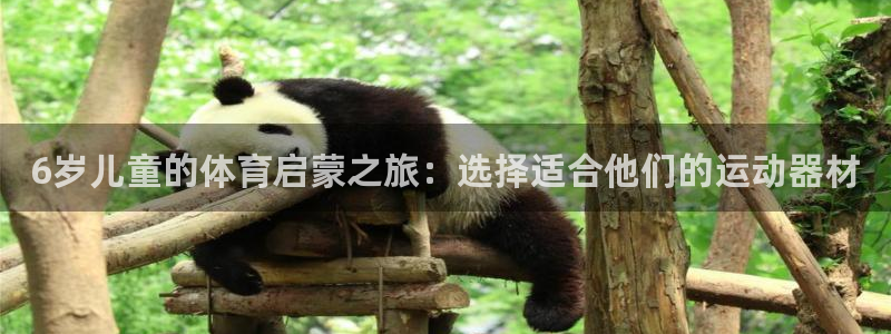 球速体育QsTY官方正版app五金厂:6岁儿童的体育启蒙之旅