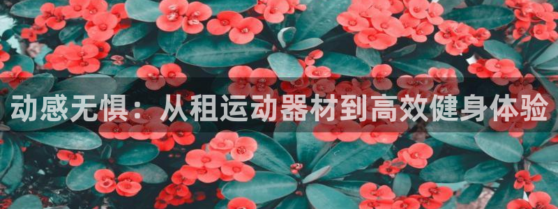 球速体育QsTY官方正版app神州:动感无惧:从租运动器材到